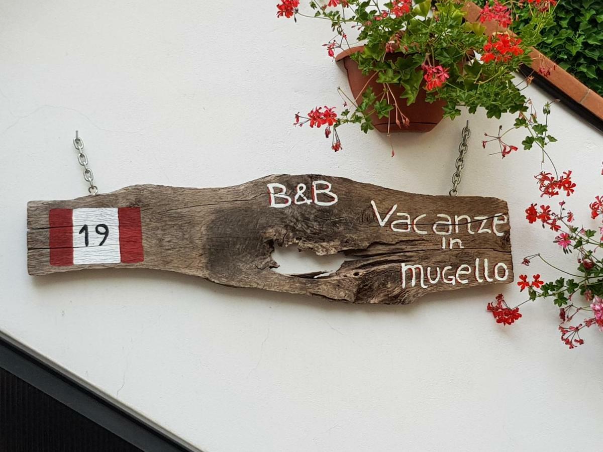 B&B Vacanze In Mugello Сан-Пьеро-а-Сьеве Экстерьер фото